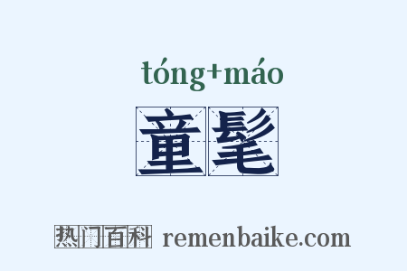 童髦是什么意思的图片